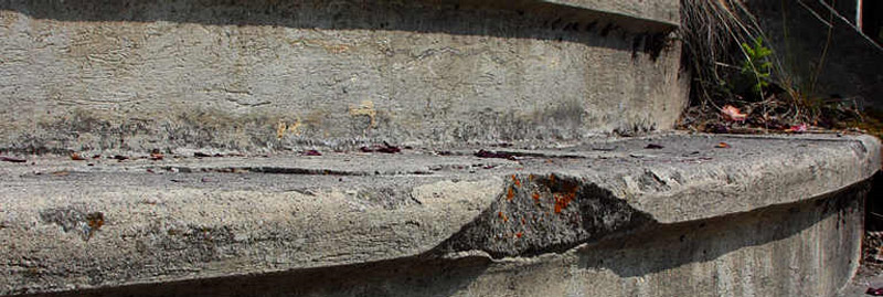 Header picture